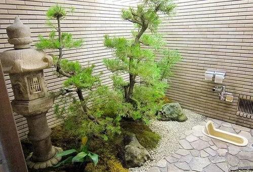 关于厕所吃瓜的故事,一场意外的吃瓜盛宴