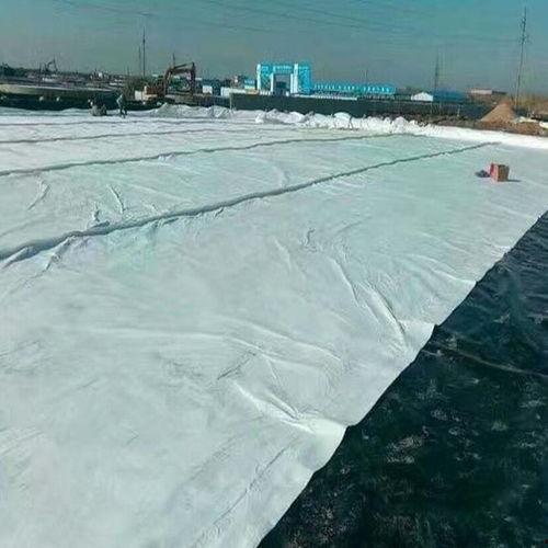 湖北枣阳新闻网头条,聚焦枣阳发展新篇章，共绘城乡融合美好蓝图