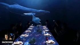 全息餐厅网红投影仪,网红餐厅的科技魅力揭秘