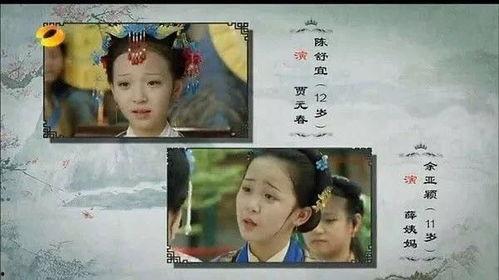 红羊红楼梦在线观看,穿越时空的古典名著新体验