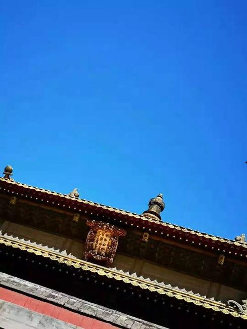 河北承德今日头条农村,今日头条聚焦乡村振兴成果”