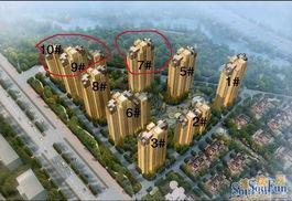 海亮爆料最新消息,揭秘娱乐圈惊人内幕