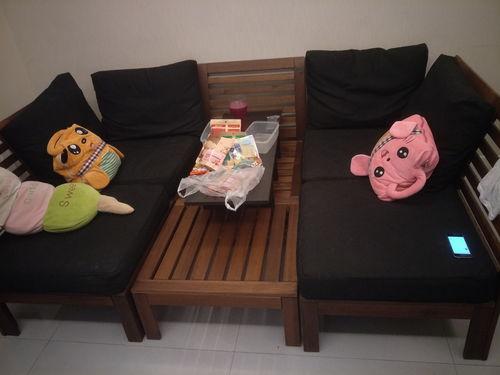 网红沙发猪,萌宠界的时尚宠儿