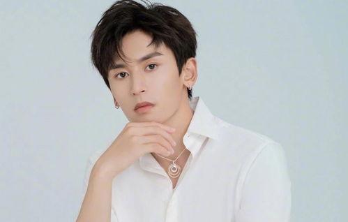 某明星毒唯,揭秘某明星粉丝的极端崇拜现象