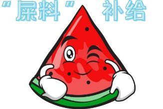 沙雕动画吃瓜现场,笑料百出，欢乐无限