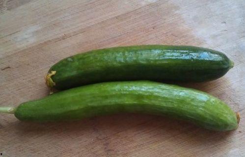 碟瓜咋吃,探索美味与营养的完美融合