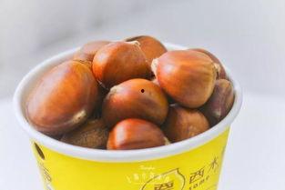 网红拉豆,从网络红人到影响力巨擘的蜕变之路