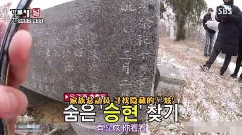 合肥明星的墓碑,永恒星光下的缅怀之旅