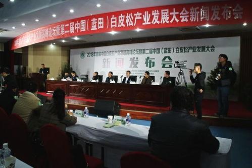 平顶山蓝田镇新闻头条