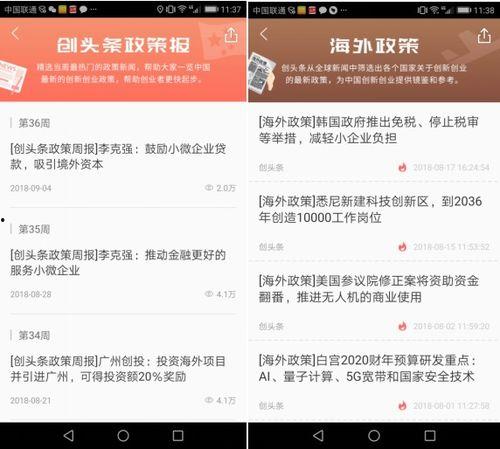 头条补贴政策,全方位赋能内容生态繁荣