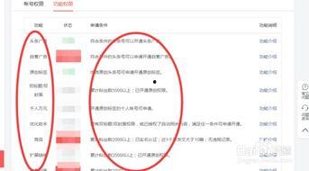 头条怎么找相关视频号,如何通过头条精准定位相关视频号，轻松获取热门内容